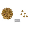 Royal Canin Renal Special Cat