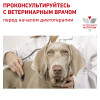 Royal Canin Satiety Weight Management Dog
