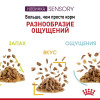 Royal Canin Sensory Multipac (соус)