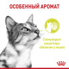 Royal Canin Sensory Smell (соус), 85 г