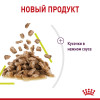 Royal Canin Sensory Smell (соус), 85 г
