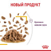 Royal Canin Sensory Taste (соус), 85 г