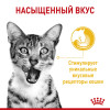 Royal Canin Sensory Taste (соус), 85 г
