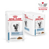 Royal Canin Skin & Coat Feline, 85 г