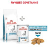 Royal Canin Skin Support Dog, 2 кг