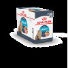 Royal Canin Urinary Care (в соусе), 85 г