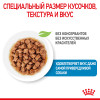 Royal Canin X-Small Puppy (в соусе), 85 г