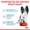 Royal Canin X-Small Puppy (в соусе), 85 г