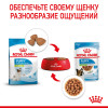 Royal Canin X-Small Puppy (в соусе), 85 г