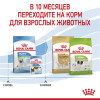 Royal Canin X-Small Puppy (в соусе), 85 г
