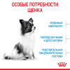 Royal Canin X-Small Puppy для собак
