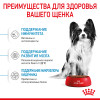 Royal Canin X-Small Puppy для собак