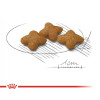Royal Canin X-Small Sterilised для собак, 500 г