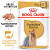 Royal Canin Yorkshire Terrier Adult (паштет), 85 г