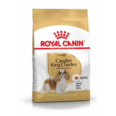 Roayl Canin Cavalier King Charles Adult
