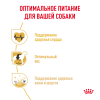 Roayl Canin Cavalier King Charles Adult
