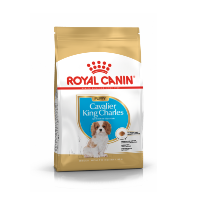 Royal Canin Cavalier King Сharles Puppy 1,5кг + EDUC 50г