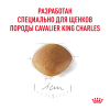 Royal Canin Cavalier King Charles Puppy, 1,5 кг