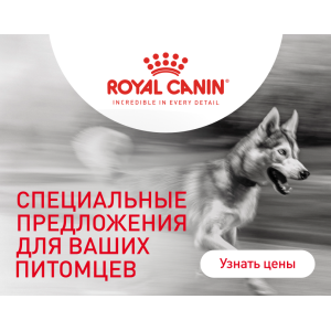 Специальные предложения 