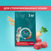 Сухой корм Purina ONE® для стерилизованных кошек и кастрированных котов, с высоким содержанием говядины и пшеницей, Пакет, 3 кг