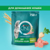 Сухой корм Purina ONE® для взрослых кошек, живущих в домашних условиях, с высоким содержанием индейки и цельными злаками, Пакет, 750 г