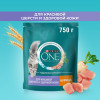 Сухой корм Purina ONE® для взрослых кошек для красивой шерсти, здоровой кожи и контроля образования волосяных комков, с высоким содержанием курицы и цельными злаками, Пакет,750 г
