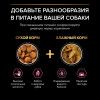 Сухой корм PRO PLAN® SENSITIVE SKIN для взрослых собак мелких и карликовых пород с чувствительной кожей, с высоким содержанием лосося, 700 г
