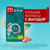 Сухой корм Purina ONE для домашних кошек, с индейкой, пакет, 9.75 кг