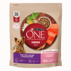 Сухой корм Purina ONE® Мини Чувствительная для взрослых собак мелких пород с чувствительным пищеварением, с лососем и рисом, Пакет, 600 г