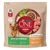 Сухой корм Purina ONE МИНИ Активная для собак мелких пород с курицей и рисом 1.5кг