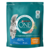 Сухой корм Purina ONE® для кошек старше 11 лет, с высоким содержанием курицы и цельными злаками, Пакет, 750 г