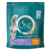 Сухой корм Purina ONE® для взрослых кошек для красивой шерсти, здоровой кожи и контроля образования волосяных комков, с высоким содержанием курицы и цельными злаками, Пакет,750 г