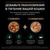 Сухой корм PRO PLAN® Sterilised Adult RENAL PLUS для взрослых стерилизованных кошек, с кроликом, 10 кг
