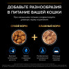 Сухой корм Pro Plan® для кошек старше 7 лет, с высоким содержанием индейки, Пакет, 400 г