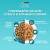 Сухой корм Purina ONE® для кошек старше 11 лет, с высоким содержанием курицы и цельными злаками, Пакет, 750 г