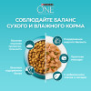 Сухой корм Purina ONE® для взрослых кошек, с высоким содержанием говядины и цельными злаками, Пакет, 750 г
