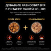 Сухой корм Pro Plan® для взрослых кошек, с высоким содержанием лосося, Пакет, 1,5 кг