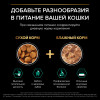 Сухой корм PRO PLAN® Sterilised RENAL PLUS для взрослых стерилизованных кошек для поддержания здоровья почек, с высоким содержанием лосося, 10 кг