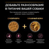 Сухой корм PRO PLAN® SENSITIVE SKIN для взрослых собак мелких и карликовых пород с чувствительной кожей, с высоким содержанием лосося, 7 кг