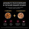 Сухой корм PRO PLAN® Sterilised SAVOURY DUO для взрослых стерилизованных привередливых кошек, с высоким содержанием утки и c печенью, 10 кг
