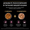 Сухой корм PRO PLAN® DELICATE DIGESTION для взрослых кошек с чувствительным пищеварением, с высоким содержанием индейки, 400 г + 200 г в подарок