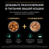 Сухой корм PRO PLAN® Sterilised RENAL PLUS для взрослых стерилизованных кошек для поддержания здоровья почек, с высоким содержанием индейки, 400 г + 200 г