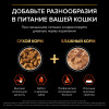 Сухой корм PRO PLAN® VITAL FUNCTIONS для взрослых кошек для поддержания функций почек, мозга и иммунитета, с высоким содержанием лосося, 1.5 кг