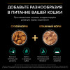 Сухой корм PRO PLAN® Sterilised Adult RENAL PLUS для взрослых стерилизованных кошек, с кроликом, 1,5 кг + 400 г в подарок