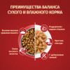 Сухой корм Purina ONE® для собак мелких пород с активным образом жизни, с высоким содержанием курицы и с рисом, 3 кг