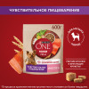 Сухой корм Purina ONE® Мини Чувствительная для взрослых собак мелких пород с чувствительным пищеварением, с лососем и рисом, Пакет, 600 г