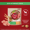 Сухой корм Purina ONE® для собак мелких пород с активным образом жизни, с высоким содержанием курицы и с рисом, Пакет, 600 г