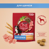 Сухой корм для щенков Purina ONE для средних и крупных пород с курицей и рисом 700 г