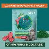 Сухой корм Purina ONE® Природа Здоровья® для стерилизованных кошек и кастрированных котов, с высоким содержанием говядины, 680 г