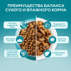 Влажный корм Purina ONE® для стерилизованных кошек, с курицей и зеленой фасолью, Пауч, 75 г
